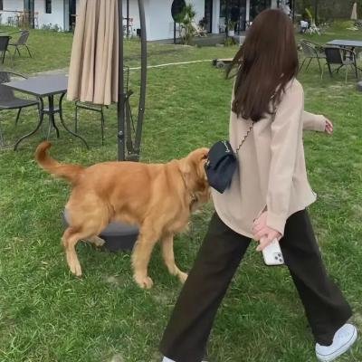 玉米地的小孩:大逃亡